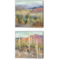 Framed High Desert 2 Piece Canvas Print Set
