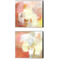 Framed 'Yellow and Blush 2 Piece Canvas Print Set' border=