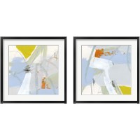 Framed 'Colorful Crop 2 Piece Framed Art Print Set' border=