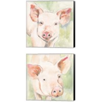 Framed 'Sunny the Pig 2 Piece Canvas Print Set' border=