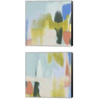 Framed 'Rainbow Scrape 2 Piece Canvas Print Set' border=