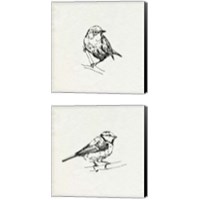 Framed 'Bird Feeder Friends 2 Piece Canvas Print Set' border=