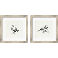 Framed 'Bird Feeder Friends 2 Piece Framed Art Print Set' border=