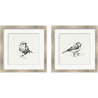 Framed 'Bird Feeder Friends 2 Piece Framed Art Print Set' border=