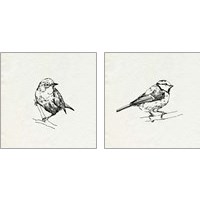 Framed 'Bird Feeder Friends 2 Piece Art Print Set' border=