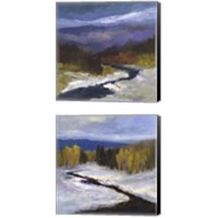 Framed 'Mountain Colors 2 Piece Canvas Print Set' border=