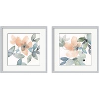 Framed Water and Petals 2 Piece Framed Art Print Set
