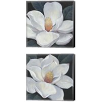 Framed 'Blooming Magnolia 2 Piece Canvas Print Set' border=