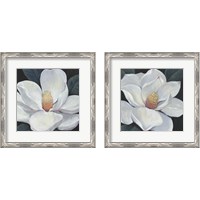 Framed 'Blooming Magnolia 2 Piece Framed Art Print Set' border=