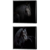 Framed 'Equine Portrait 2 Piece Canvas Print Set' border=