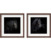 Framed 'Equine Portrait 2 Piece Framed Art Print Set' border=