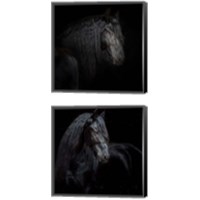 Framed Equine Portrait 2 Piece Canvas Print Set