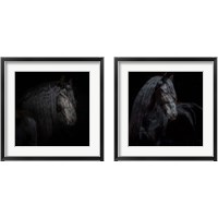 Framed 'Equine Portrait 2 Piece Framed Art Print Set' border=