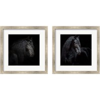 Framed 'Equine Portrait 2 Piece Framed Art Print Set' border=