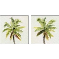Framed 'Coco Watercolor Palm 2 Piece Art Print Set' border=