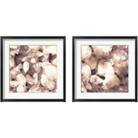 Framed Blush Shaded Leaves 2 Piece Framed Art Print Set