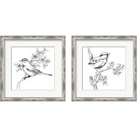 Framed 'Simple Songbird Sketches 2 Piece Framed Art Print Set' border=