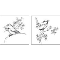 Framed 'Simple Songbird Sketches 2 Piece Art Print Set' border=