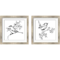 Framed 'Simple Songbird Sketches 2 Piece Framed Art Print Set' border=