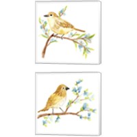 Framed Springtime Songbirds 2 Piece Canvas Print Set
