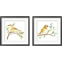 Framed Springtime Songbirds 2 Piece Framed Art Print Set