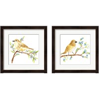 Framed 'Springtime Songbirds 2 Piece Framed Art Print Set' border=
