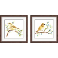 Framed 'Springtime Songbirds 2 Piece Framed Art Print Set' border=