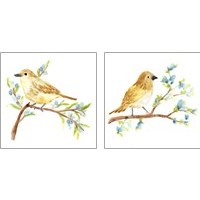 Framed 'Springtime Songbirds 2 Piece Art Print Set' border=
