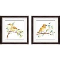 Framed Springtime Songbirds 2 Piece Framed Art Print Set