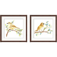 Framed 'Springtime Songbirds 2 Piece Framed Art Print Set' border=