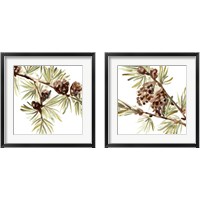 Framed Simple Pine Cone 2 Piece Framed Art Print Set