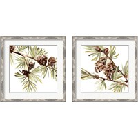 Framed 'Simple Pine Cone 2 Piece Framed Art Print Set' border=