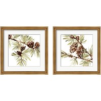 Framed 'Simple Pine Cone 2 Piece Framed Art Print Set' border=