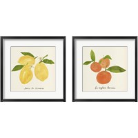 Framed Citrus Trattare 2 Piece Framed Art Print Set