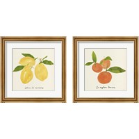 Framed Citrus Trattare 2 Piece Framed Art Print Set