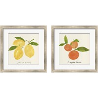 Framed 'Citrus Trattare 2 Piece Framed Art Print Set' border=