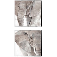 Framed 'Elephant Grooves 2 Piece Canvas Print Set' border=