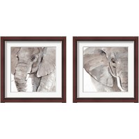 Framed Elephant Grooves 2 Piece Framed Art Print Set