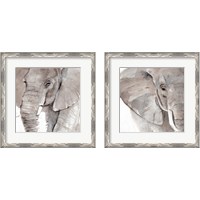 Framed 'Elephant Grooves 2 Piece Framed Art Print Set' border=