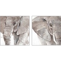 Framed Elephant Grooves 2 Piece Art Print Set