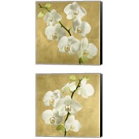 Framed 'Orchids on a Golden Background 2 Piece Canvas Print Set' border=