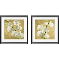 Framed 'Orchids on a Golden Background 2 Piece Framed Art Print Set' border=