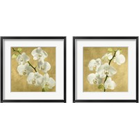 Framed 'Orchids on a Golden Background 2 Piece Framed Art Print Set' border=