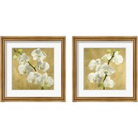 Framed Orchids on a Golden Background 2 Piece Framed Art Print Set