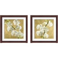 Framed Orchids on a Golden Background 2 Piece Framed Art Print Set