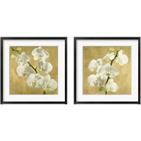 Framed Orchids on a Golden Background 2 Piece Framed Art Print Set