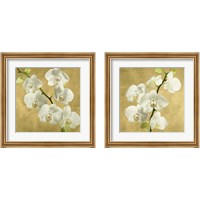 Framed Orchids on a Golden Background 2 Piece Framed Art Print Set