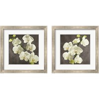 Framed Orchids on Grey Background 2 Piece Framed Art Print Set