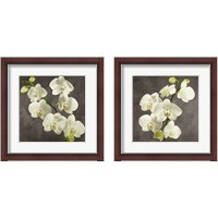 Framed Orchids on Grey Background 2 Piece Framed Art Print Set