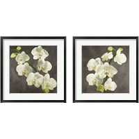 Framed Orchids on Grey Background 2 Piece Framed Art Print Set